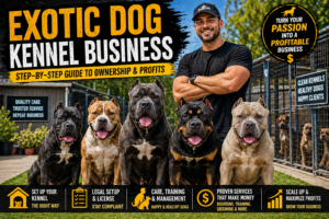 exotic dog kennel business featuring multiple dogs in a professional kennel setup for training boarding and care services